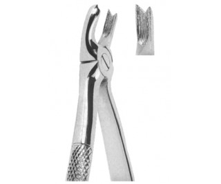 Extracting Forceps English pattern
